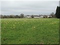 View across fields towards Grey Gables Farm