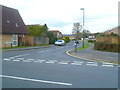 Looking into White Horse Road