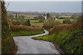 Sedgemoor : Country Lane