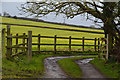 Sedgemoor : Farm Track