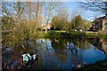 Village pond, Seaton