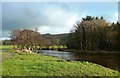 Water of Girvan View