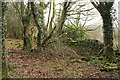 Dry Stane Dyke in Doonhill Wood