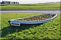 NZ2993 : Garden in a rowing boat, Cresswell by Jim Barton
