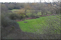 TQ0659 : Common Meadows, Byfleet by Alan Hunt