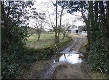 SK3654 : Park Farm and Coalburn Brook by Neil Theasby