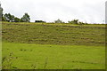 SK2164 : Steep grassy slope, lathkill Dale by N Chadwick