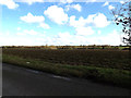 Farmland off the B1077 Winfarthing Road