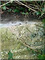 Rivet bench mark, railway bridge, North Luffenham