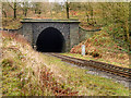 Brooksbottoms Tunnel