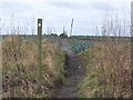 Footpath to Holland