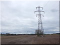 Pylons in field at Blaguegate