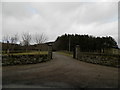 Driveway to Fothringham Hill House