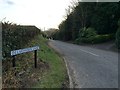 Delmonden Lane, near Hawkhurst