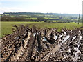 Muddy field in Culme Valley