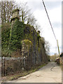 Former bridge abutments on Old Tin Works Road