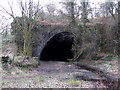 Tunnel portal near Treforest