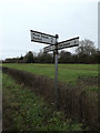 TM2166 : Roadsign on Southolt Road by Geographer