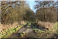 Farm Track near Benfield