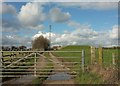 Reservoir and mast near Norton St Philip