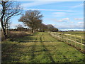 Footpath near Paddock, Galleywood \ West Hanningfield