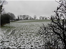 H4376 : Wintry at Mountjoy Forest East Division by Kenneth  Allen