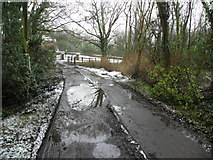 H4376 : Muddy lane with potholes, Mountjoy Forest East by Kenneth  Allen