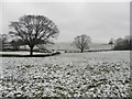 Snow, Mountjoy Forest East Division