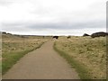 Path on Hartley Links