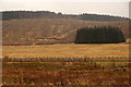 Looking across the A74(M) at Nether Howcleuch