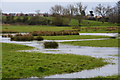 Bridgwater : Grassy Field