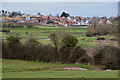 Bridgwater : Grassy Field