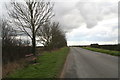 Bench on tree-lined Mill Lane south of Middle Rasen