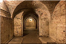 TL4301 : Cellar, Copped Hall, Essex by Christine Matthews