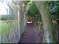 Enclosed footpath going to St Leonards Park