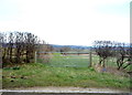 Field entrance, Scalby Hayes