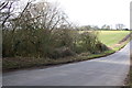 SP3916 : The road into Stonesfield from Combe by Roger Templeman
