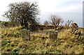 Kirkbride Church Remains