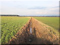 Drainage ditch parallel to Dairy Farm Road