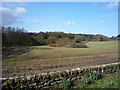 Farmland off Mill Lane, Cloughton