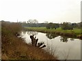 The River Trent at Newark