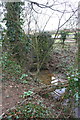 Culvert at wall / fence junction beside Akeman Street