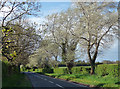 Country road near Naburn