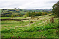 Footpath above Brierley Green