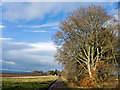 Farm track to Poyntzfield