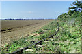 Brickworks tramway, Great Wakering, 1989