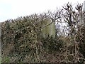 Trigpoint in hedge at Higher Oborne