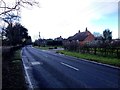 Tenterden Road, near Biddenden