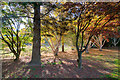 Autumnal colours in the grounds of Stirling University