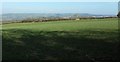 Farmland at Ashes Hill Farm